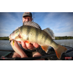 Nymph REDBASS Nr. 1 XL - 130 mm - 1 pcs