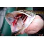 Nymph REDBASS Nr. 1 XL - 130 mm - 1 pcs