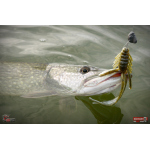 Nymph REDBASS Nr. 1 XL - 130 mm - 1 pcs