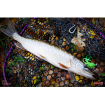 Nymph REDBASS Nr. 1 XL - 130 mm - 1 pcs