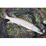 Nymph REDBASS Nr. 1 XL - 130 mm - 1 pcs