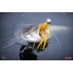 Nymph REDBASS Nr. 1 XL - 130 mm - 1 pcs