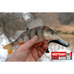 Minnow SB