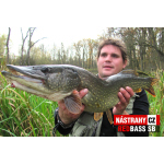 Minnow SB
