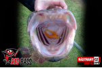 Ripper REDBASS PIKER - 135 mm