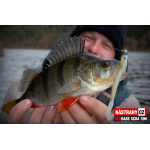 Minnow SCB 4