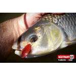 Spoons Silver Bream - KENNY