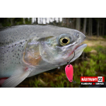 Spoons Silver Bream - SURFACE