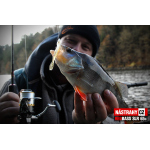 Minnow SLR