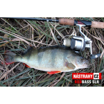 Minnow SLR