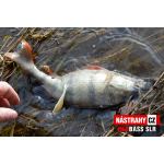 Minnow SLR