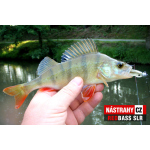 Minnow SLR