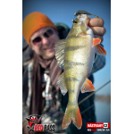 Minnow SLR