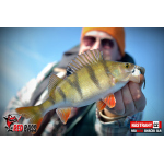 Minnow SLR