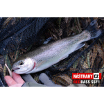 Micro Minnow SSF 1