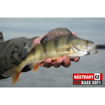 Micro Minnow SSF 1