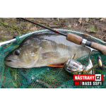 Micro Minnow SSF 1