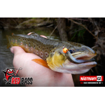Micro Minnow SSF 1
