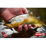 Micro Minnow SSF 1