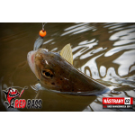 Micro Minnow SSF 1