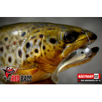 Micro Minnow SSF 1B