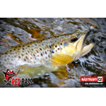 Micro Minnow SSF 2