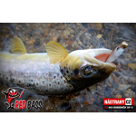 Micro Minnow SSF 1