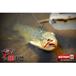 Micro Minnow SSF 1