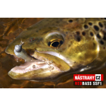 Micro Minnow SSF 1