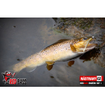 Micro Minnow SSF 1