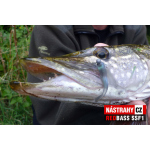 Micro Minnow SSF 1