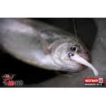Micro Minnow SSF 1B