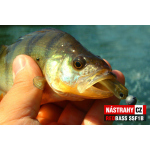 Micro Minnow SSF 1B