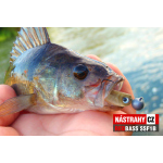 Micro Minnow SSF 1B