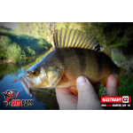 Micro Minnow SSF 1B