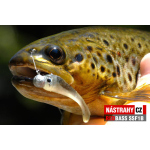 Micro Minnow SSF 1B