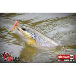 Micro Minnow SSF 1B
