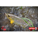 Micro Minnow SSF 1B