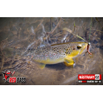 Micro Minnow SSF 1B