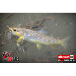 Micro Minnow SSF 1B