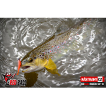 Micro Minnow SSF 1B