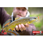Micro Minnow SSF 1B
