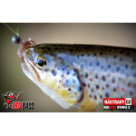 Micro Minnow SSF 1B
