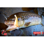 Micro Minnow SSF 1B