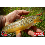 Micro Minnow SSF 1B