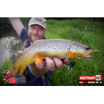 Micro Minnow SSF 1B