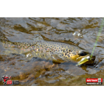 Micro Minnow SSF 1B