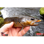 Micro Minnow SSF 1B