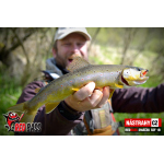 Micro Minnow SSF 1B