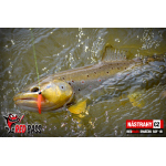 Micro Minnow SSF 1B